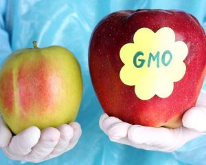 С 26 июня действуют новые правила маркировки товара, в составе которого есть ГМО